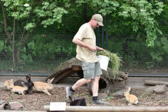 tierpfleger zoo leipzig gestorben