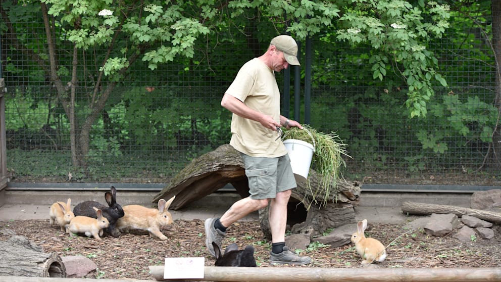 tierpfleger zoo leipzig gestorben