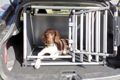 Hundebox Or Transporthundebox Für Autos