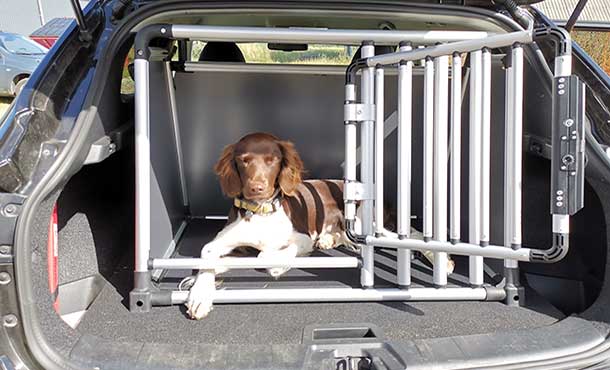 Hundebox Or Transporthundebox Für Autos