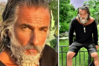 ilan tobanah wikipedia