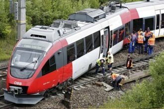 zug entgleist herzberg