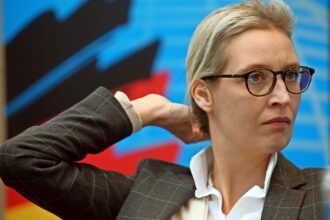 alice weidel ohr